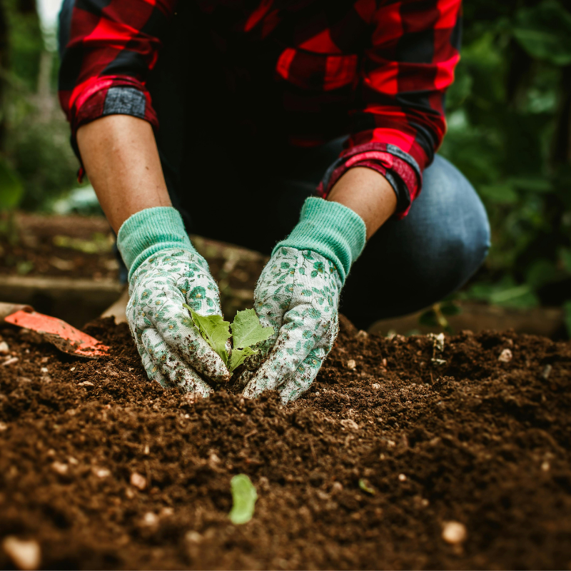 BIOINSUMOS: MANEJO DE DIVERSOS CULTIVOS